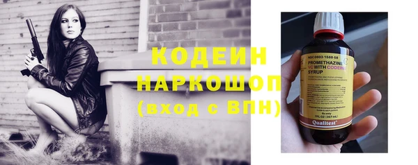 шишки Ладушкин