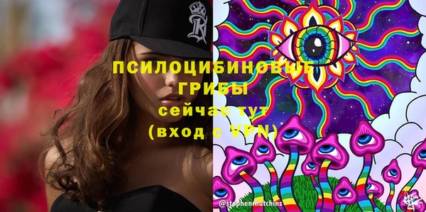 шишки Ладушкин
