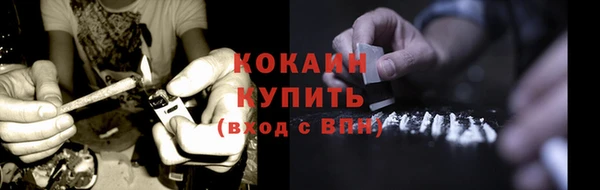 шишки Ладушкин