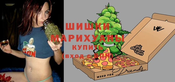 шишки Ладушкин