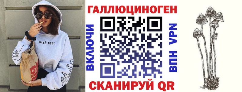 купить закладку  Южноуральск  Псилоцибиновые грибы Psilocybe 